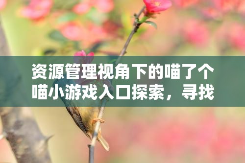 资源管理视角下的喵了个喵小游戏入口探索，寻找最佳游玩平台指南