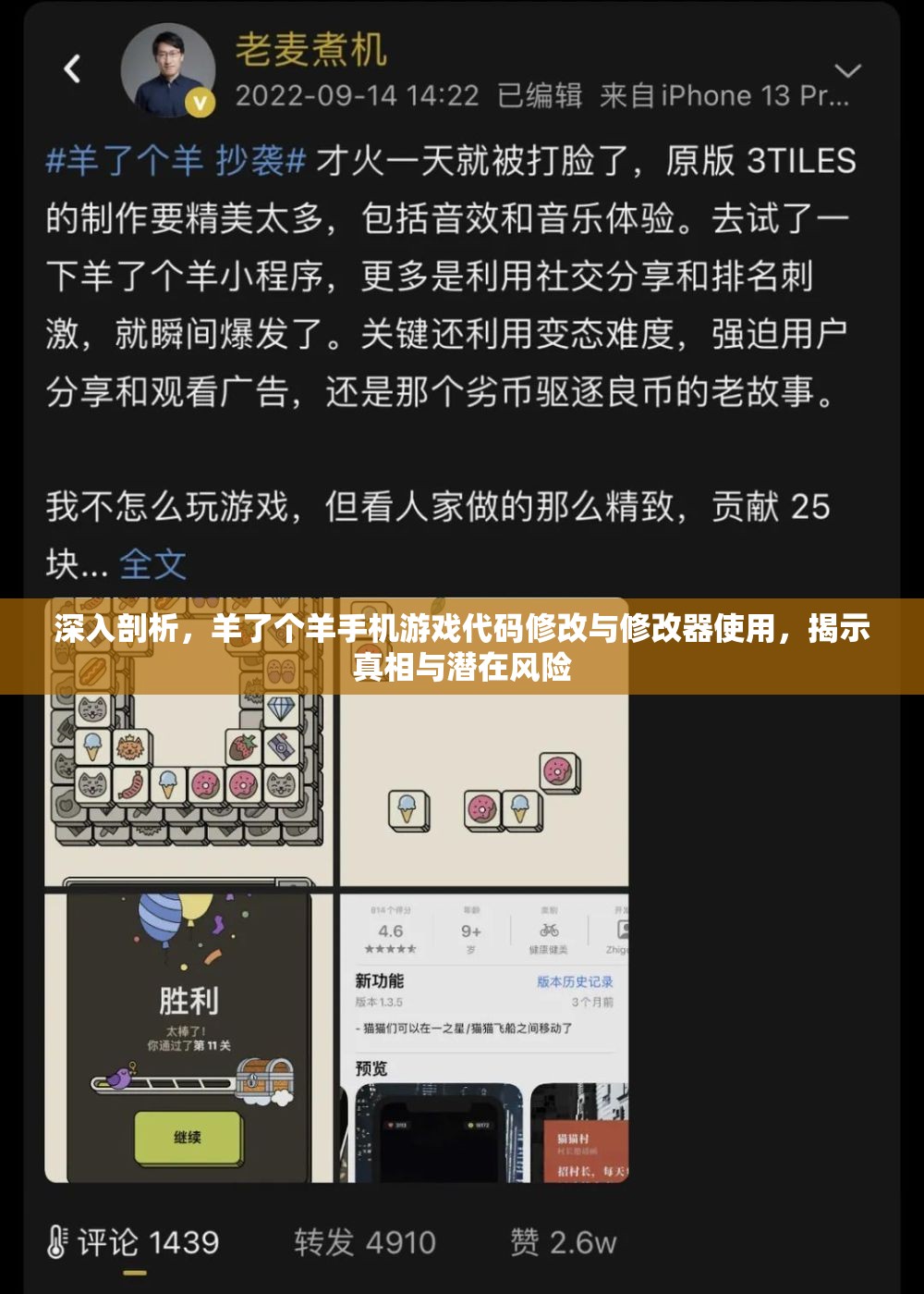 深入剖析，羊了个羊手机游戏代码修改与修改器使用，揭示真相与潜在风险