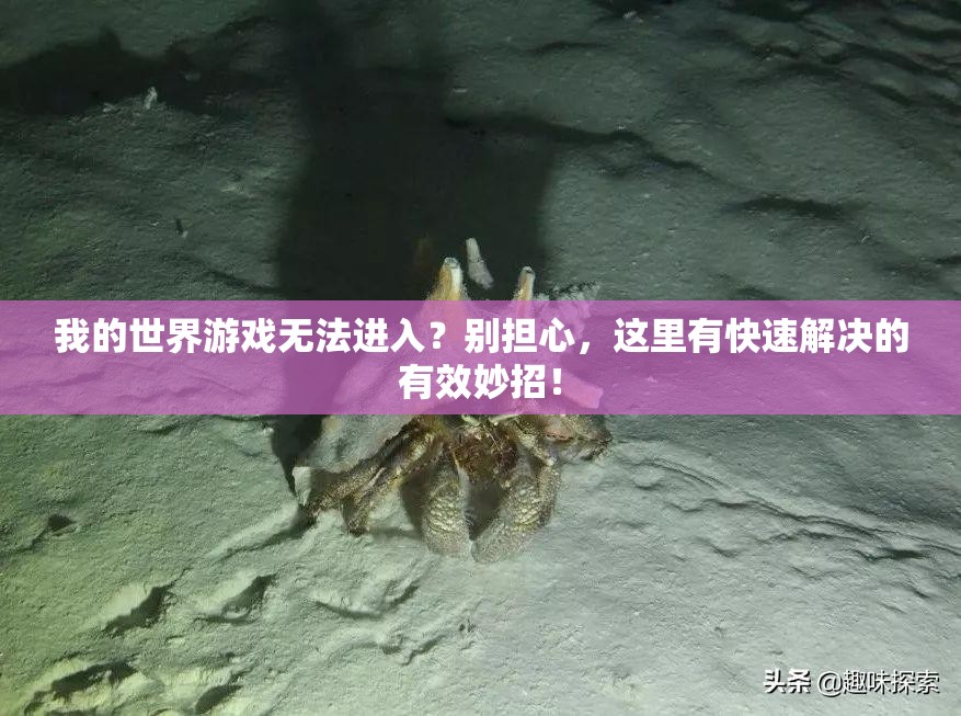 我的世界游戏无法进入？别担心，这里有快速解决的有效妙招！