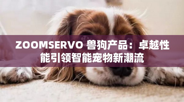 ZOOMSERVO 兽狗产品：卓越性能引领智能宠物新潮流