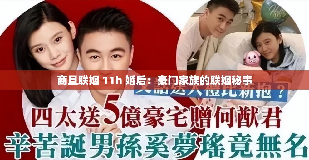 商且联姻 11h 婚后：豪门家族的联姻秘事