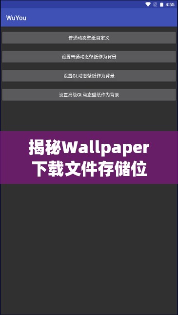 揭秘Wallpaper下载文件存储位置及手机版独特透视功能详解