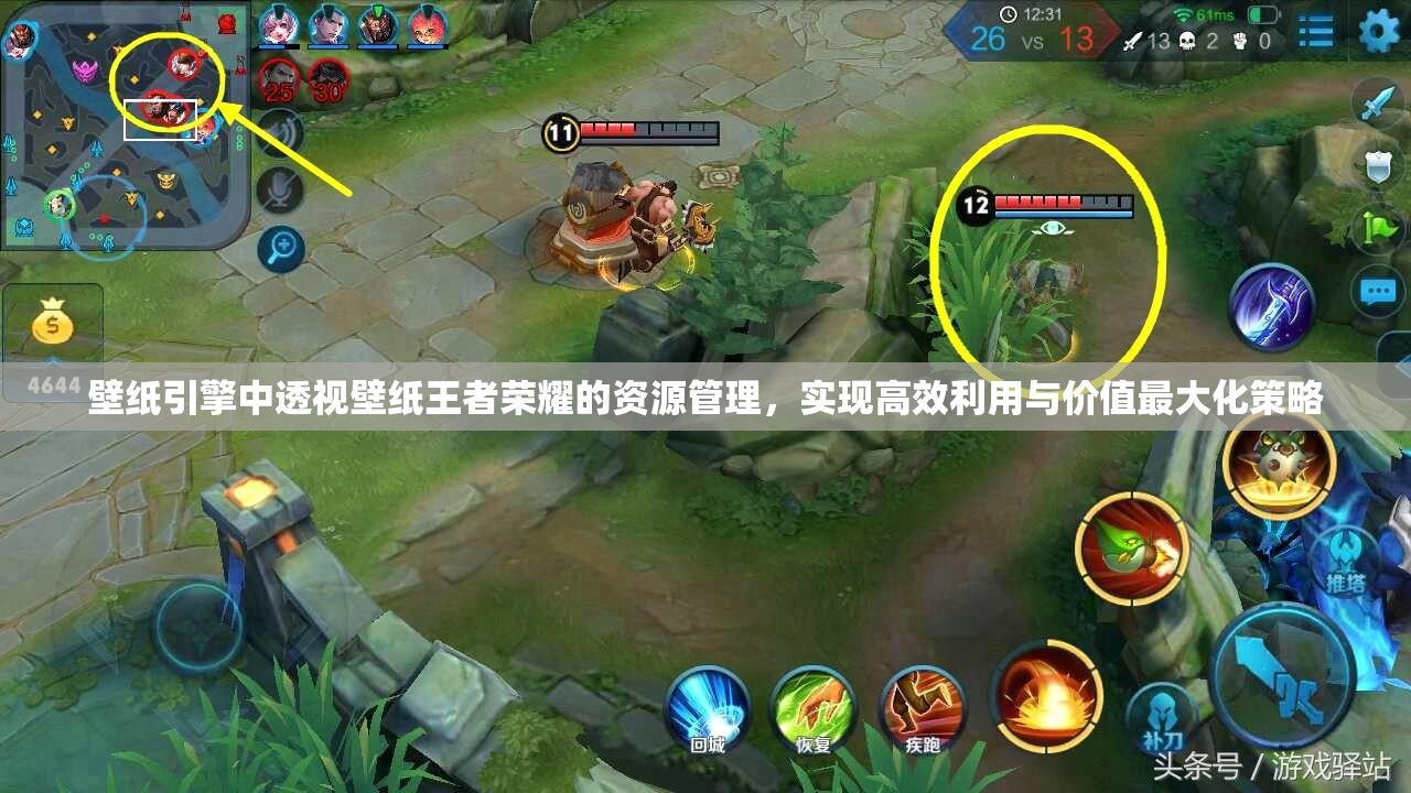 壁纸引擎中透视壁纸王者荣耀的资源管理，实现高效利用与价值最大化策略