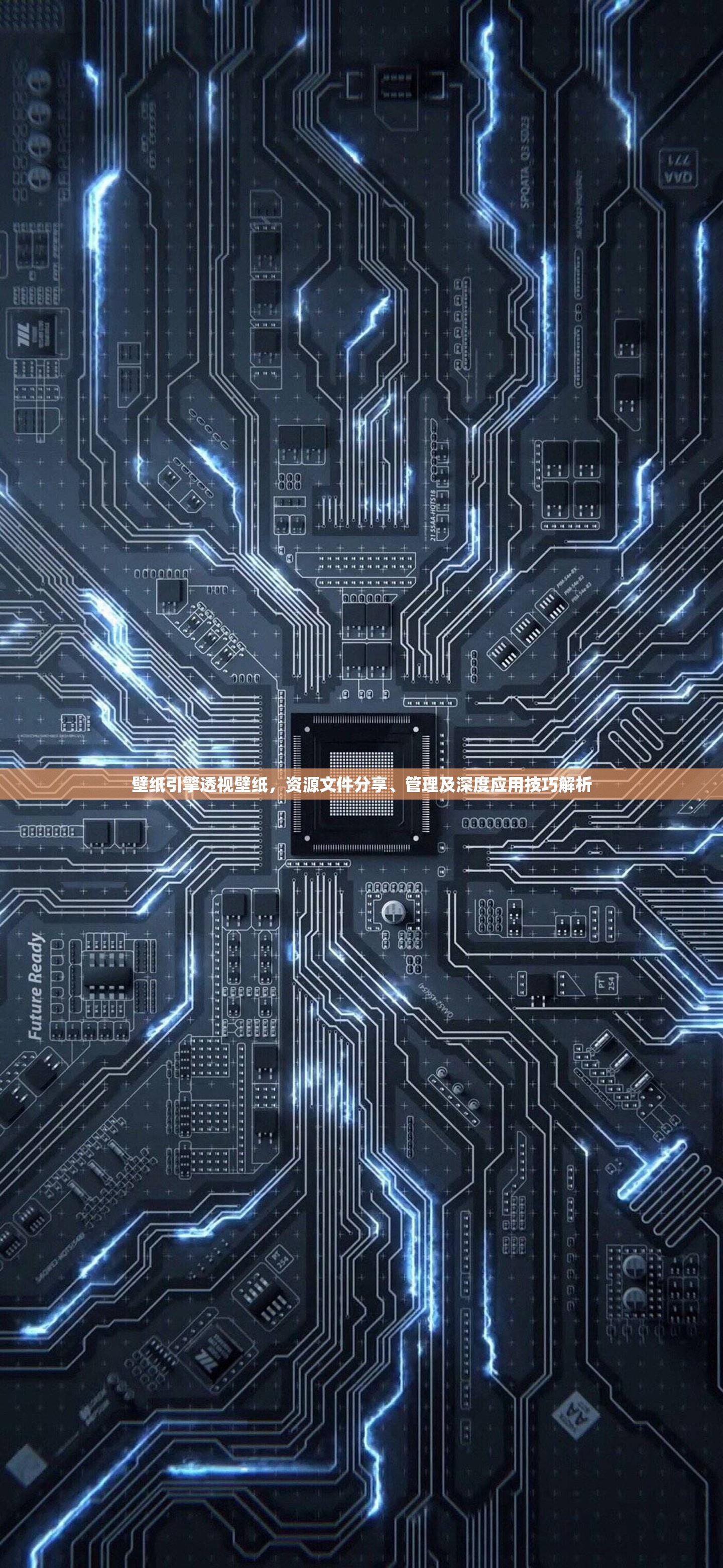 壁纸引擎透视壁纸，资源文件分享、管理及深度应用技巧解析