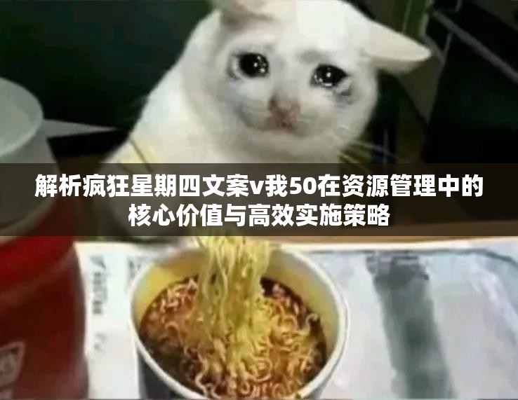 解析疯狂星期四文案v我50在资源管理中的核心价值与高效实施策略