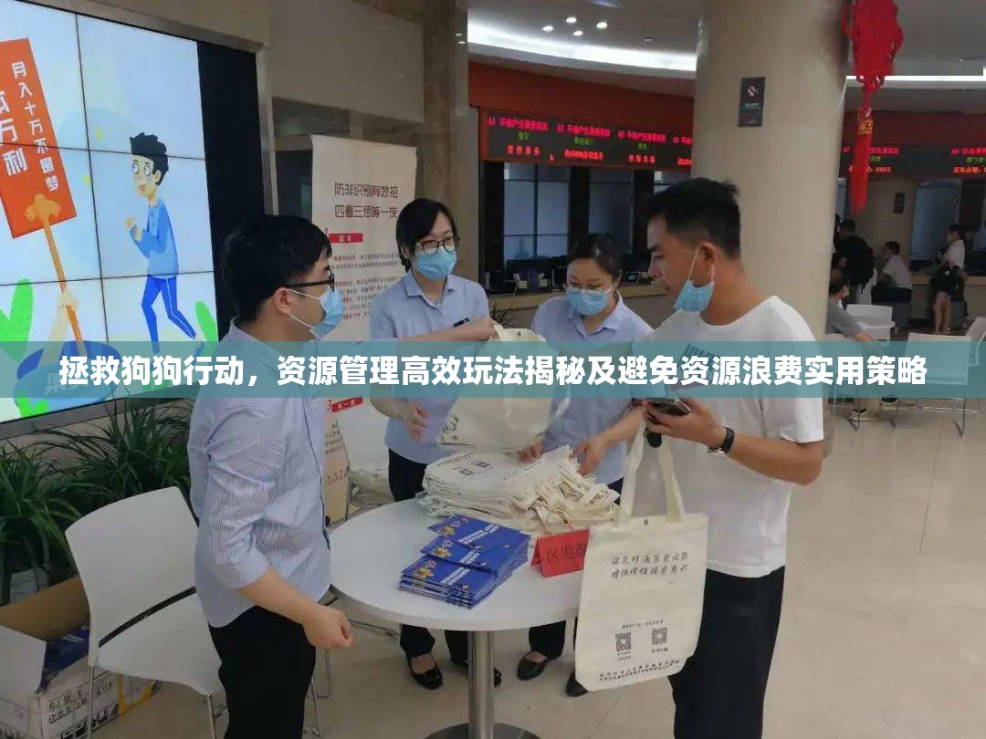 拯救狗狗行动，资源管理高效玩法揭秘及避免资源浪费实用策略