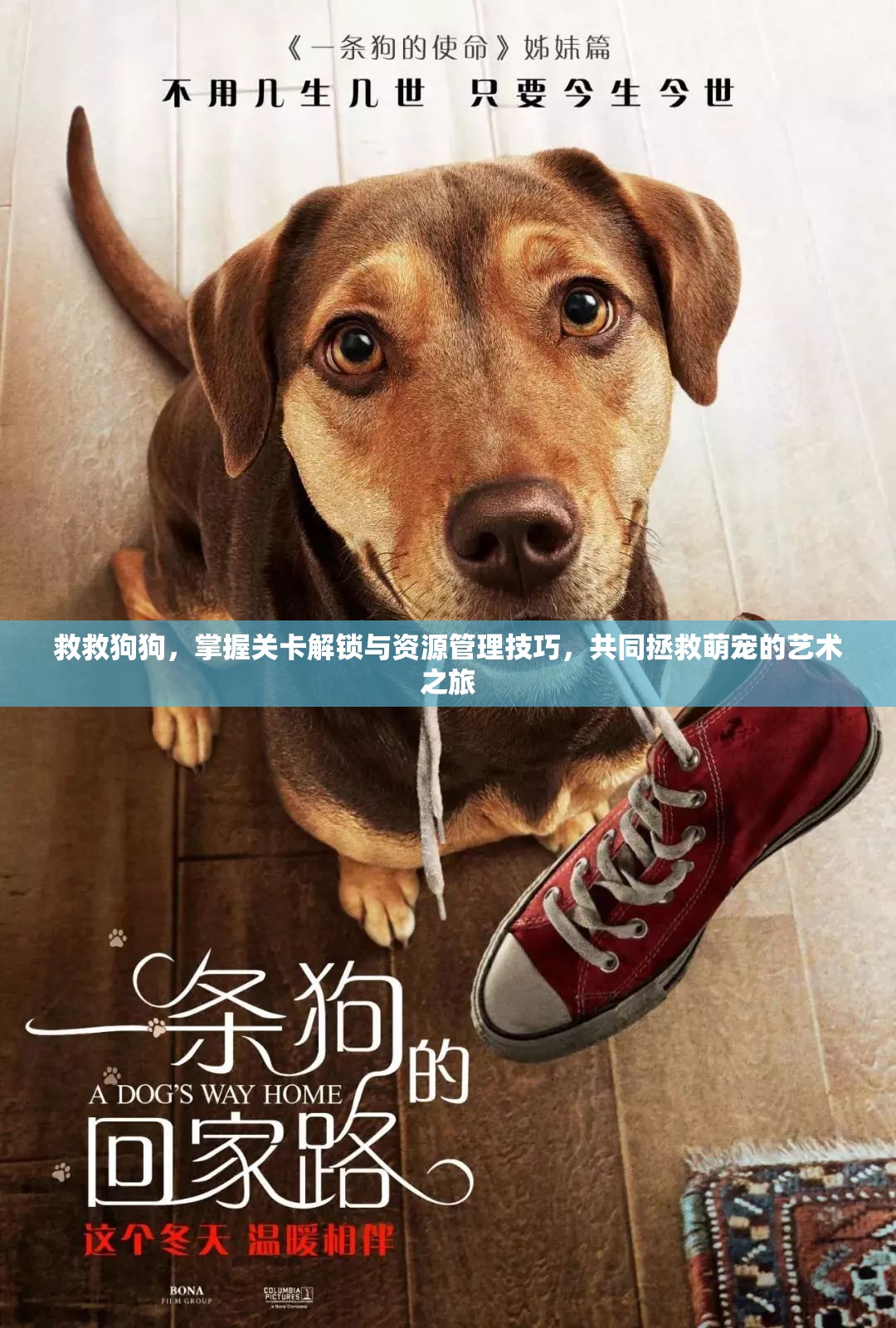 救救狗狗，掌握关卡解锁与资源管理技巧，共同拯救萌宠的艺术之旅