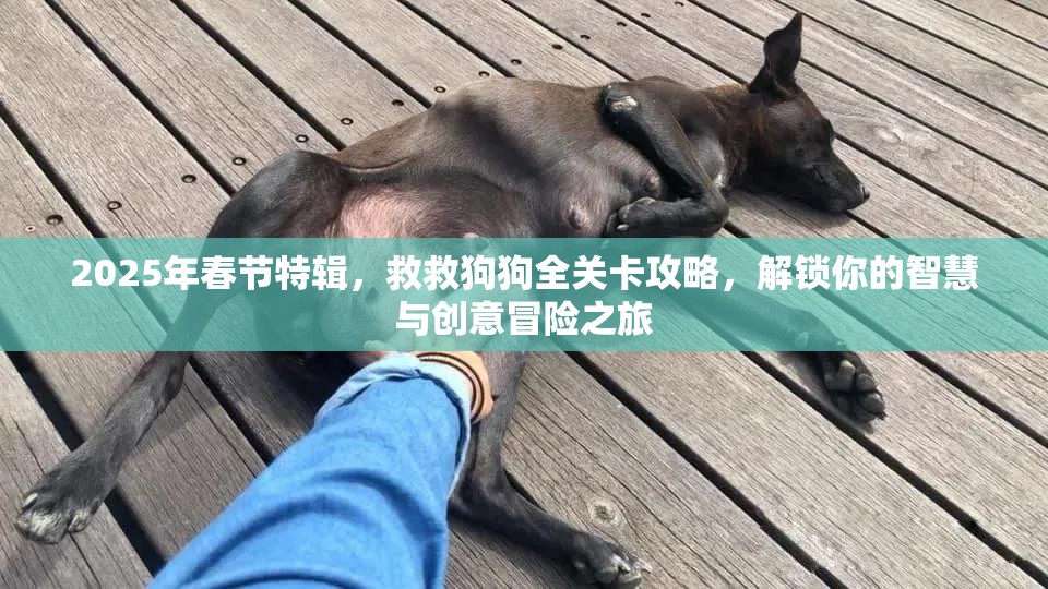 2025年春节特辑，救救狗狗全关卡攻略，解锁你的智慧与创意冒险之旅