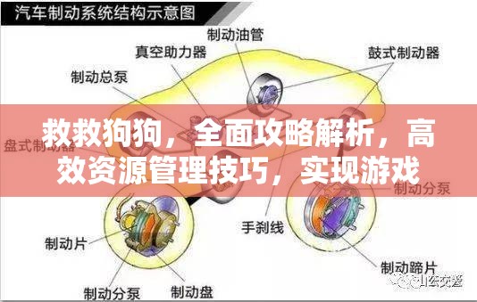 救救狗狗，全面攻略解析，高效资源管理技巧，实现游戏价值最大化