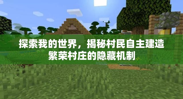 探索我的世界，揭秘村民自主建造繁荣村庄的隐藏机制
