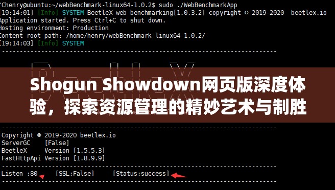 Shogun Showdown网页版深度体验，探索资源管理的精妙艺术与制胜策略
