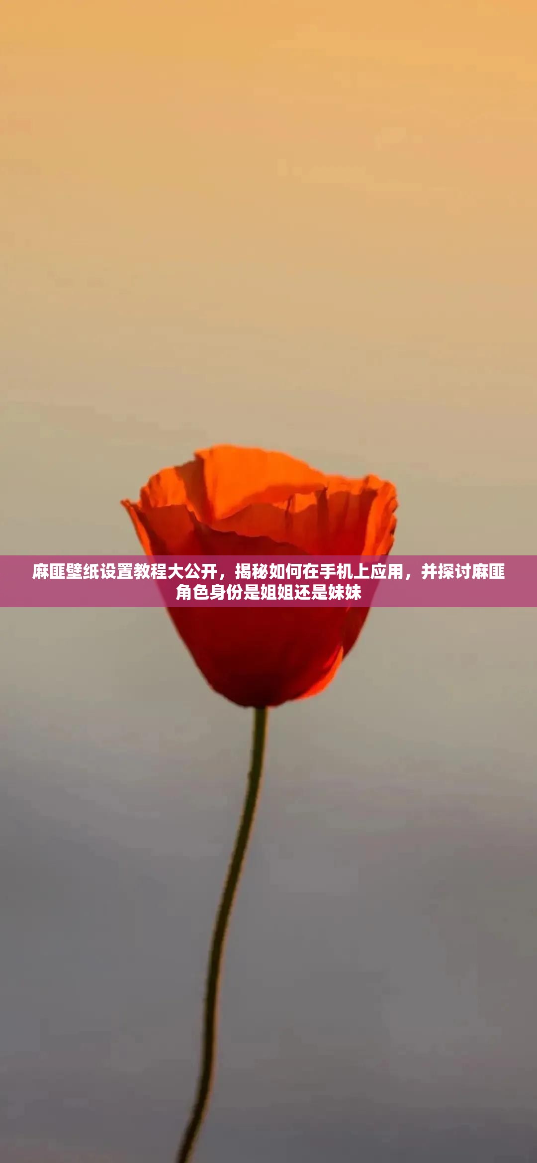 麻匪壁纸设置教程大公开，揭秘如何在手机上应用，并探讨麻匪角色身份是姐姐还是妹妹