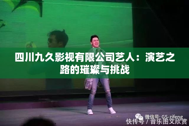 四川九久影视有限公司艺人：演艺之路的璀璨与挑战