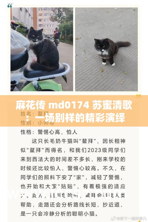 麻花传 md0174 苏蜜清歌：一场别样的精彩演绎