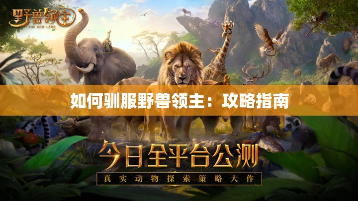 如何驯服野兽领主：攻略指南