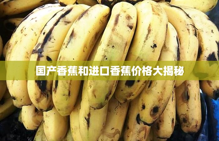 国产香蕉和进口香蕉价格大揭秘