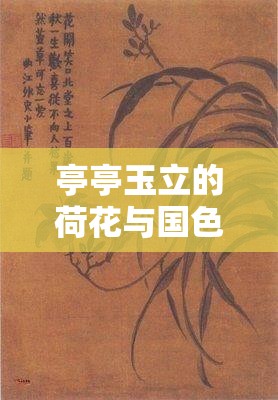 亭亭玉立的荷花与国色天香的牡丹相映成趣