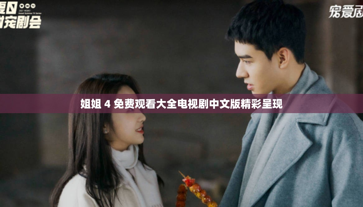 姐姐 4 免费观看大全电视剧中文版精彩呈现
