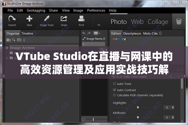 VTube Studio在直播与网课中的高效资源管理及应用实战技巧解析