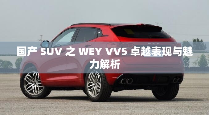 国产 SUV 之 WEY VV5 卓越表现与魅力解析