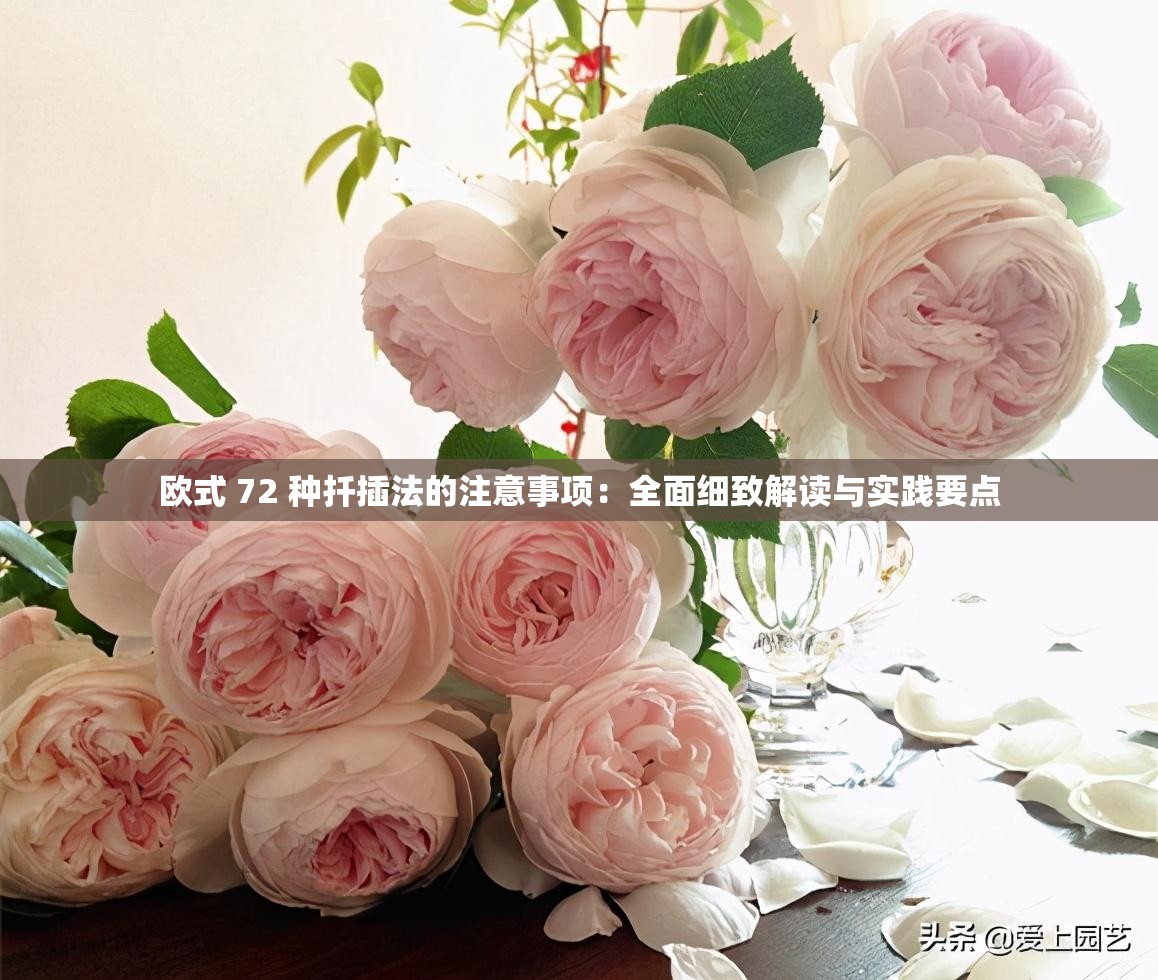 欧式 72 种扦插法的注意事项：全面细致解读与实践要点