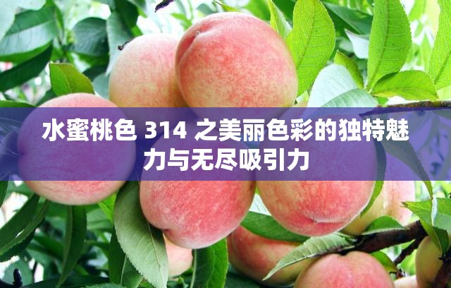水蜜桃色 314 之美丽色彩的独特魅力与无尽吸引力