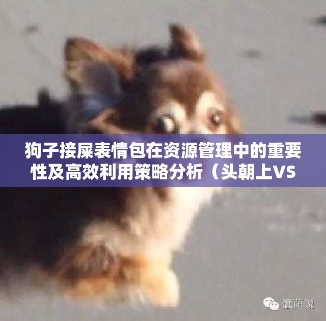 狗子接屎表情包在资源管理中的重要性及高效利用策略分析（头朝上VS下面接屎）