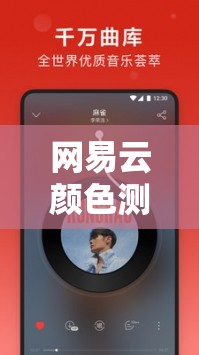 网易云颜色测试，一场探索个性色彩与心灵共鸣的奇妙之旅