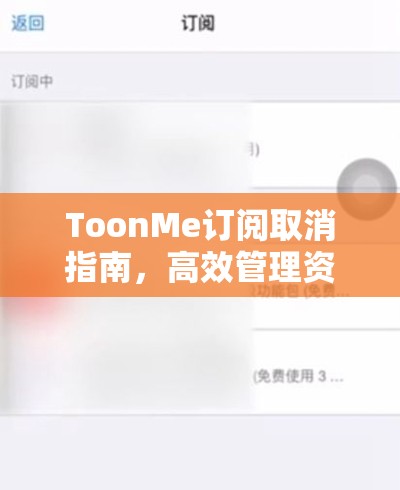 ToonMe订阅取消指南，高效管理资源，实现快速退订并避免浪费