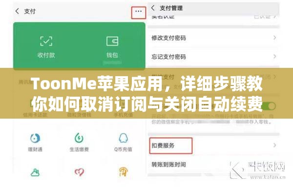 ToonMe苹果应用，详细步骤教你如何取消订阅与关闭自动续费