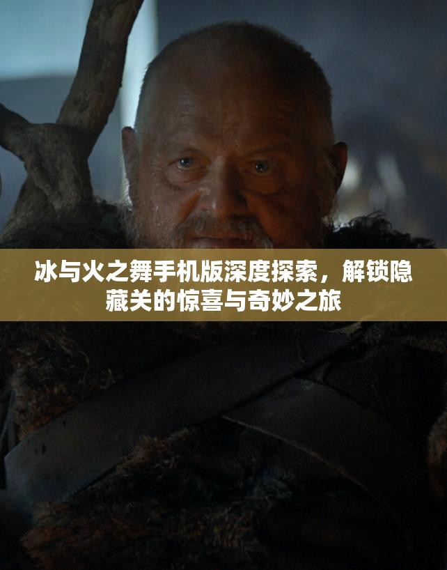 冰与火之舞手机版深度探索，解锁隐藏关的惊喜与奇妙之旅