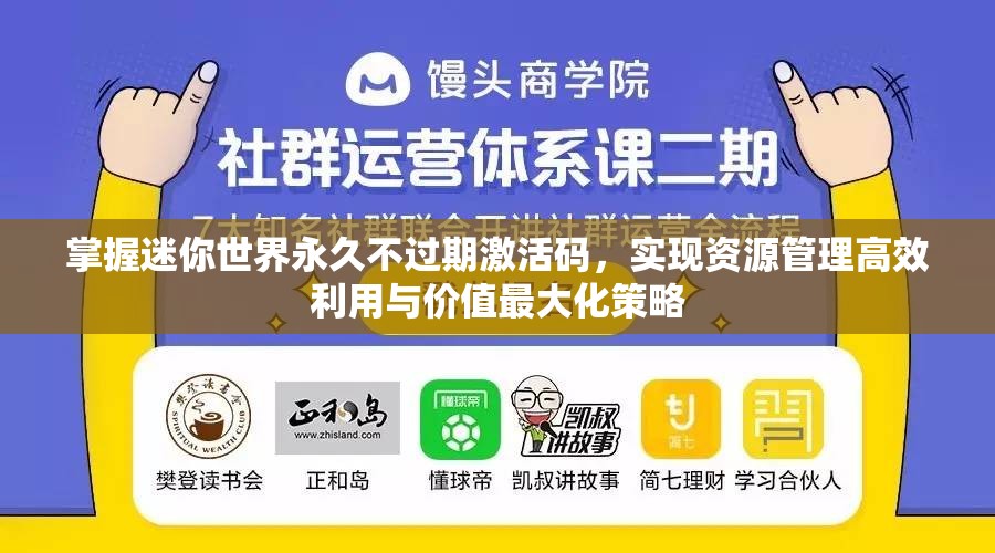 掌握迷你世界永久不过期激活码，实现资源管理高效利用与价值最大化策略