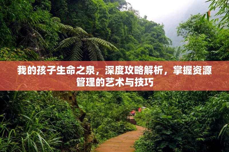我的孩子生命之泉，深度攻略解析，掌握资源管理的艺术与技巧