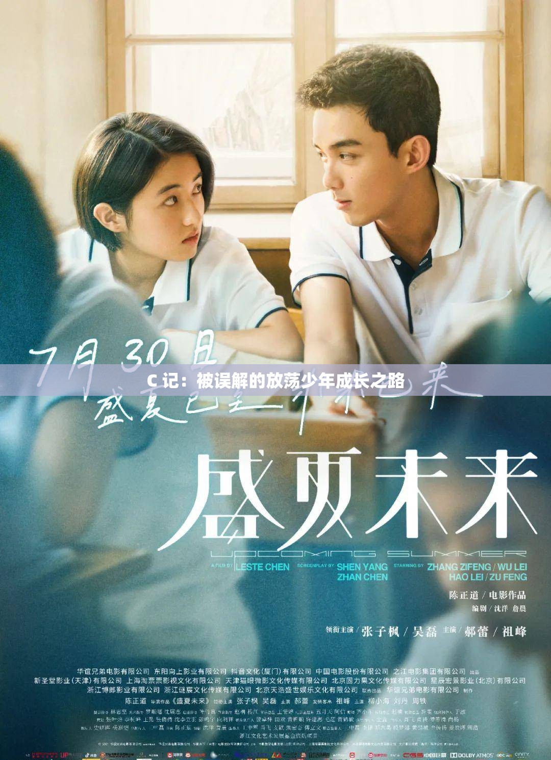 C 记：被误解的放荡少年成长之路