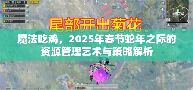 魔法吃鸡，2025年春节蛇年之际的资源管理艺术与策略解析