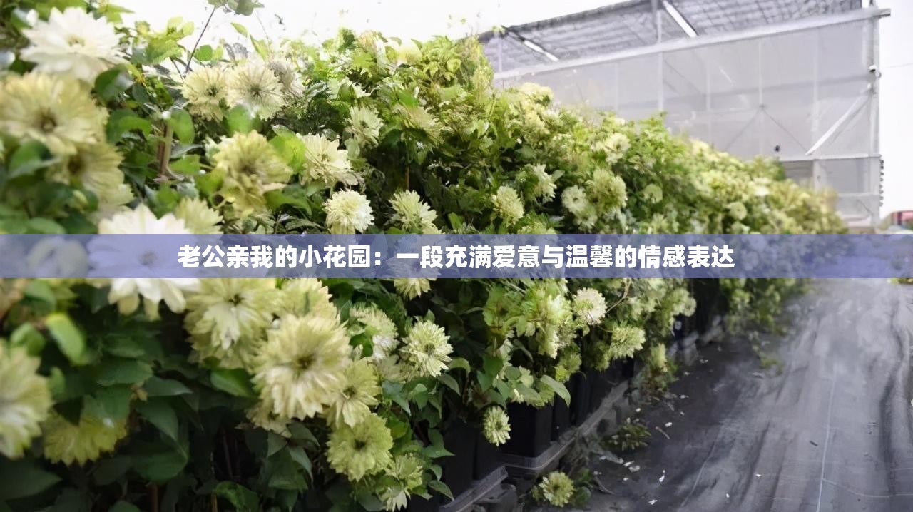 老公亲我的小花园：一段充满爱意与温馨的情感表达