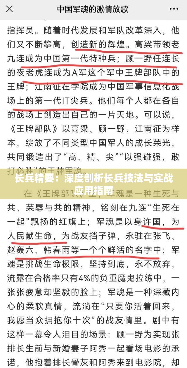 长兵精要：深度剖析长兵技法与实战应用指南