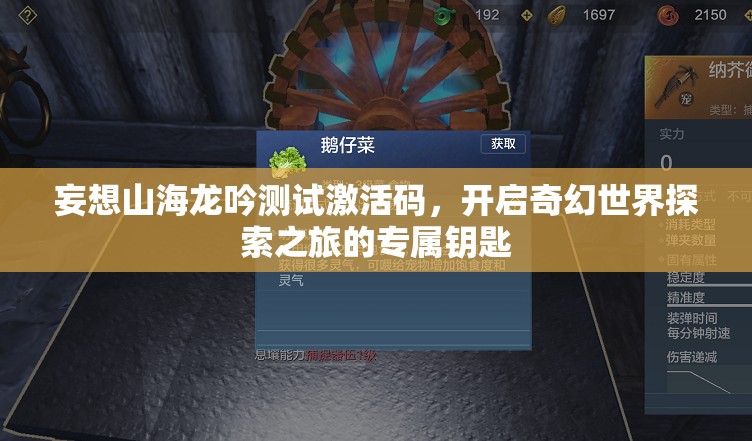 妄想山海龙吟测试激活码，开启奇幻世界探索之旅的专属钥匙