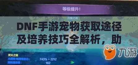 DNF手游宠物获取途径及培养技巧全解析，助你打造专属萌宠战队