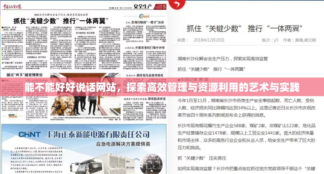 能不能好好说话网站，探索高效管理与资源利用的艺术与实践