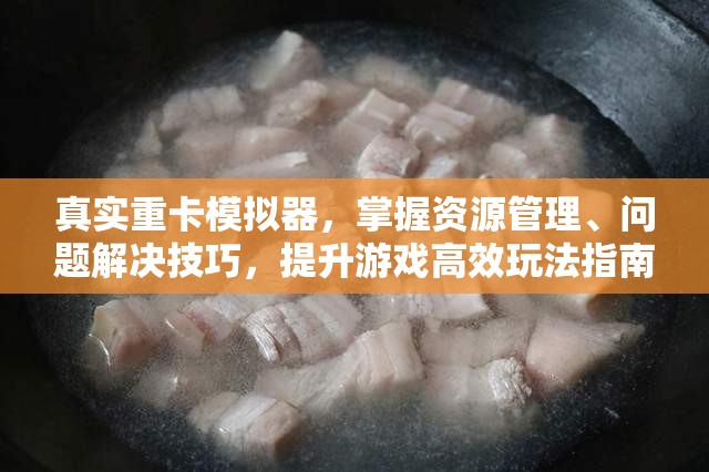 真实重卡模拟器，掌握资源管理、问题解决技巧，提升游戏高效玩法指南