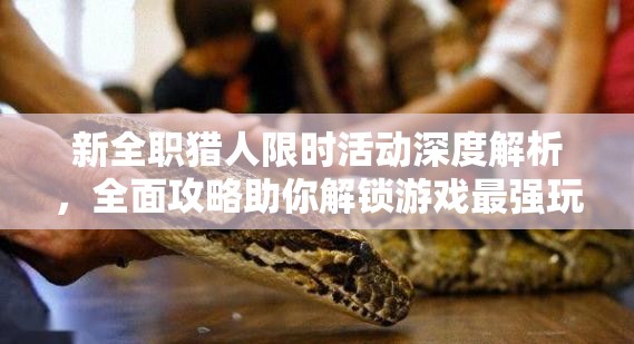 新全职猎人限时活动深度解析，全面攻略助你解锁游戏最强玩法秘籍