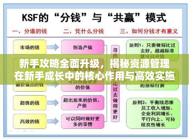 新手攻略全面升级，揭秘资源管理在新手成长中的核心作用与高效实施策略
