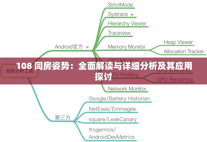 108 同房姿势：全面解读与详细分析及其应用探讨
