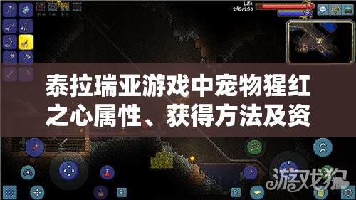泰拉瑞亚游戏中宠物猩红之心属性、获得方法及资源管理策略详解