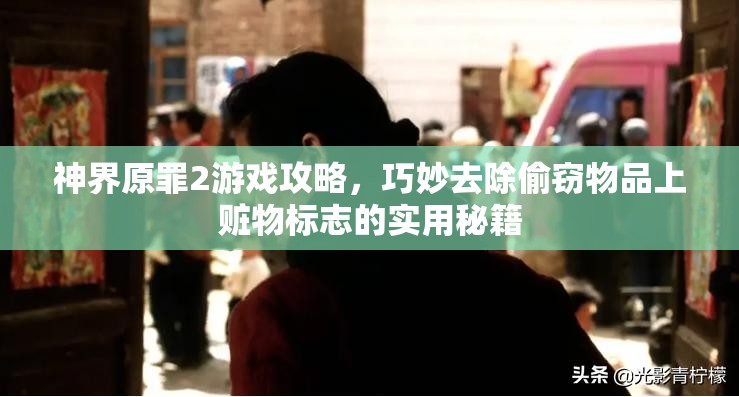 神界原罪2游戏攻略，巧妙去除偷窃物品上赃物标志的实用秘籍