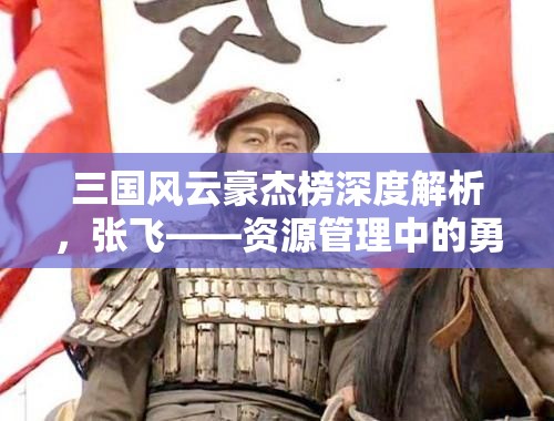 三国风云豪杰榜深度解析，张飞——资源管理中的勇猛果敢与策略之道