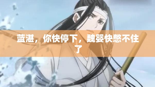 蓝湛，你快停下，魏婴快憋不住了