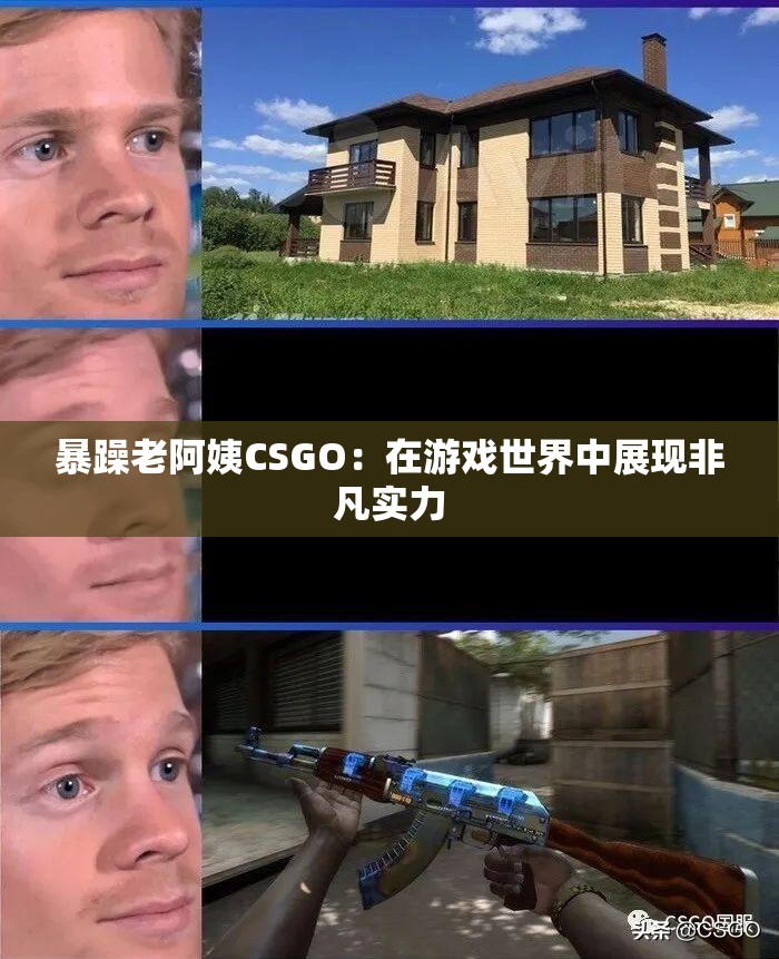 暴躁老阿姨CSGO：在游戏世界中展现非凡实力