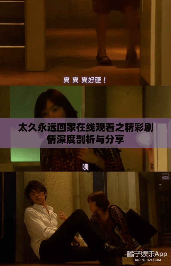太久永远回家在线观看之精彩剧情深度剖析与分享